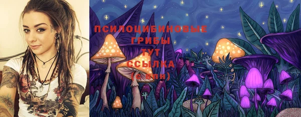 марки lsd Дмитровск