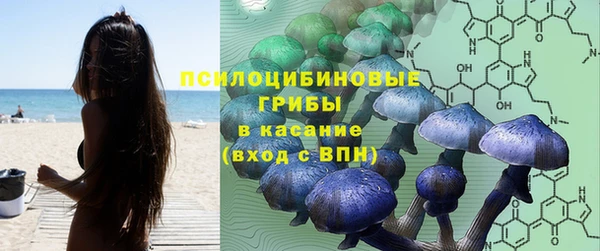 марки lsd Дмитровск