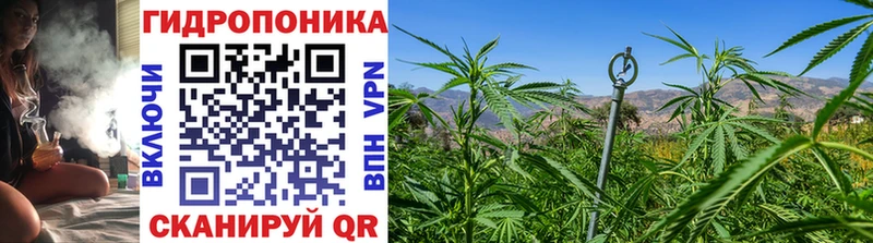 Конопля LSD WEED Жирновск